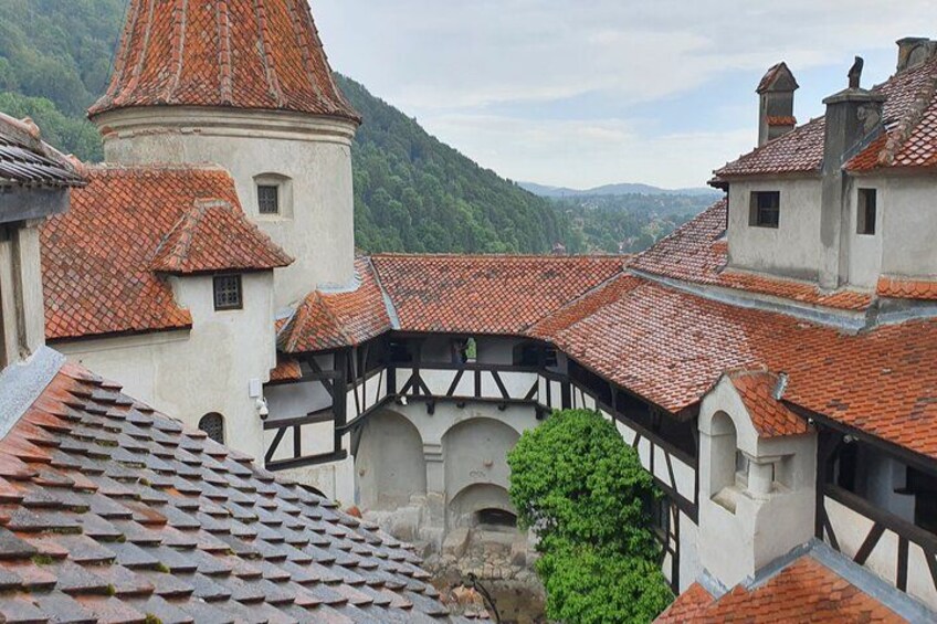 A historic town with red-tiled roofs, a prominent tower, and a tree in the foreground. 2