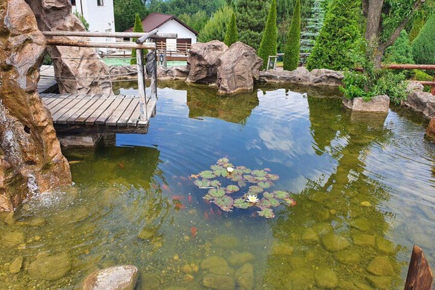 Un estanque con rocas, un puente de madera y un edificio blanco al fondo. 4
