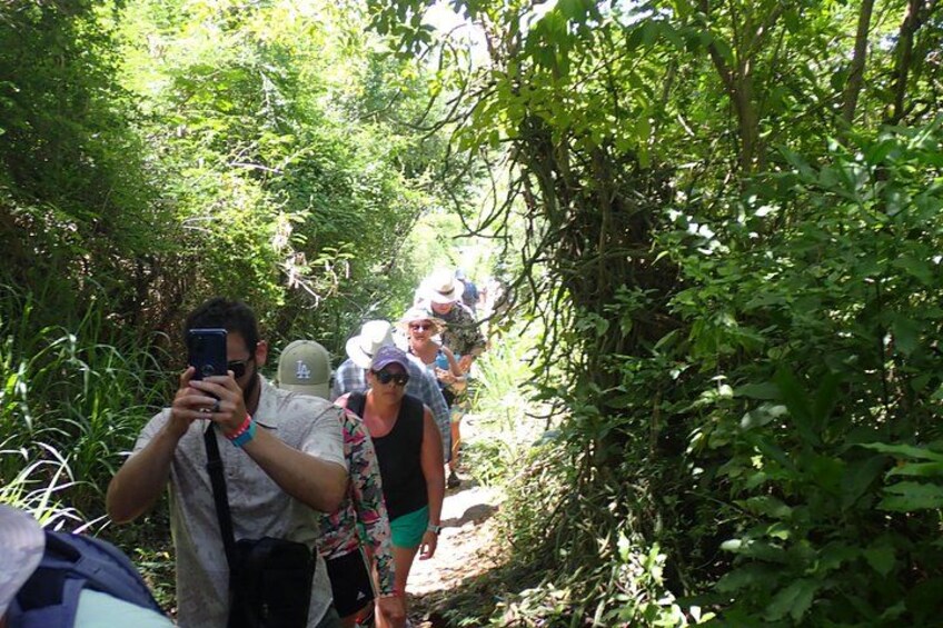 St. John, US Virgin Islands: Honeymoon Beach Hike and Snorkeling 4