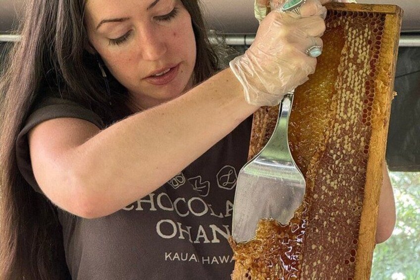 A person extracting honey from a honeycomb with a metal frame. 1