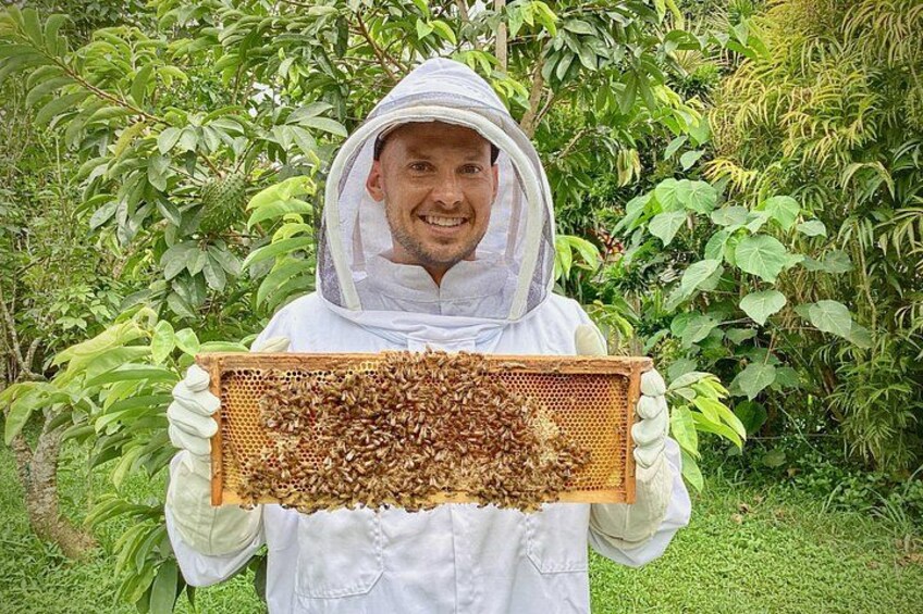 Inside the Hive: Kauai Honey and Bee Tour 4