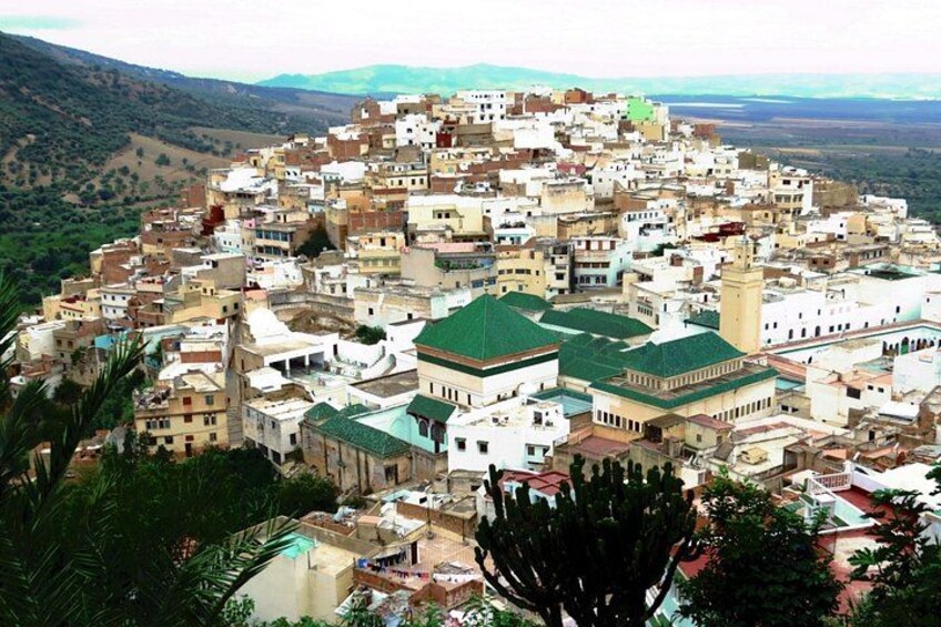 A densely packed town with numerous buildings, some with green roofs, surrounded by hills and greenery. 5