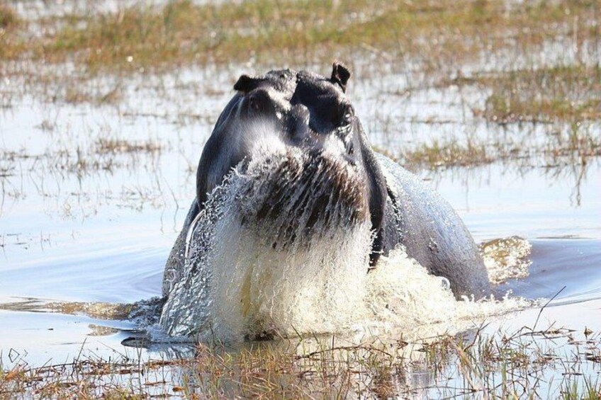 1 Night 2 Days Mokoro Overnight Tour Okavango Delta 4