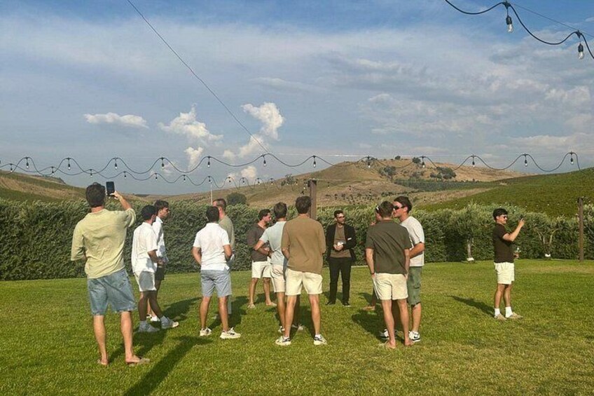 Discovering the estate 3