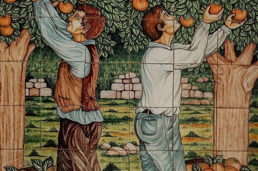 Walk in the Vineyard and Tasting 4