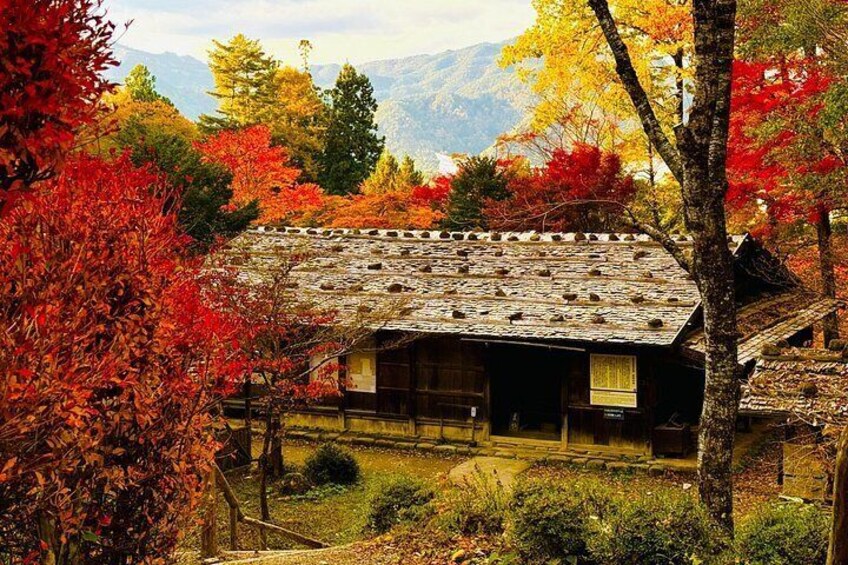 A traditional wooden house with a thatched roof, surrounded by autumn foliage and a mountainous backdrop. 5