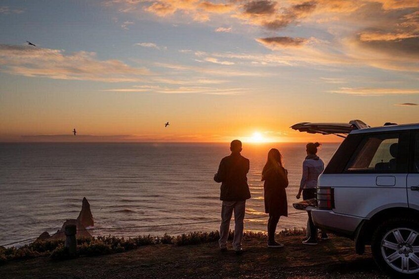 Exclusive SUNRISE tour to Cape Kidnappers 1