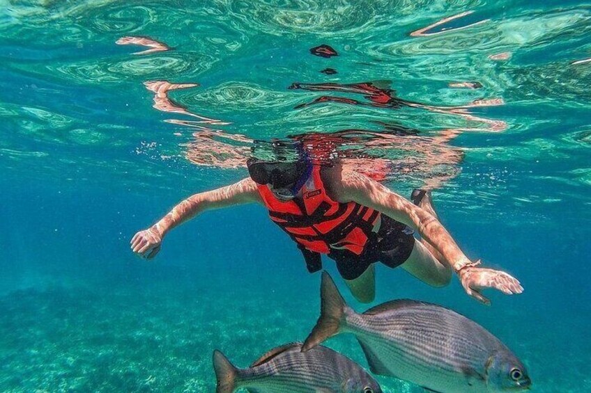 A person swimming underwater with fish. 4