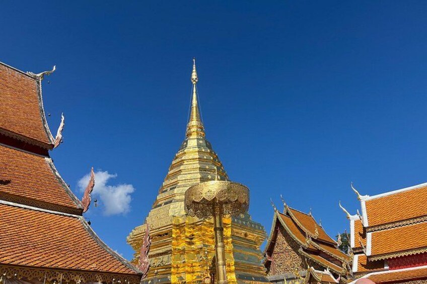 The Forest Temples & Wat Doi Suthep Evening Tour 4