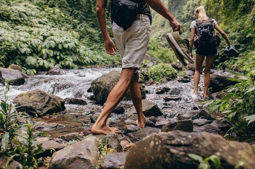 Two people hiking on a rocky stream surrounded by lush greenery. 4