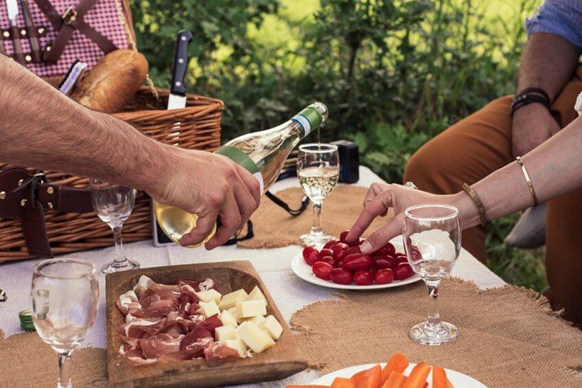 Pic Nic in the Vineyard with wine tasting 4