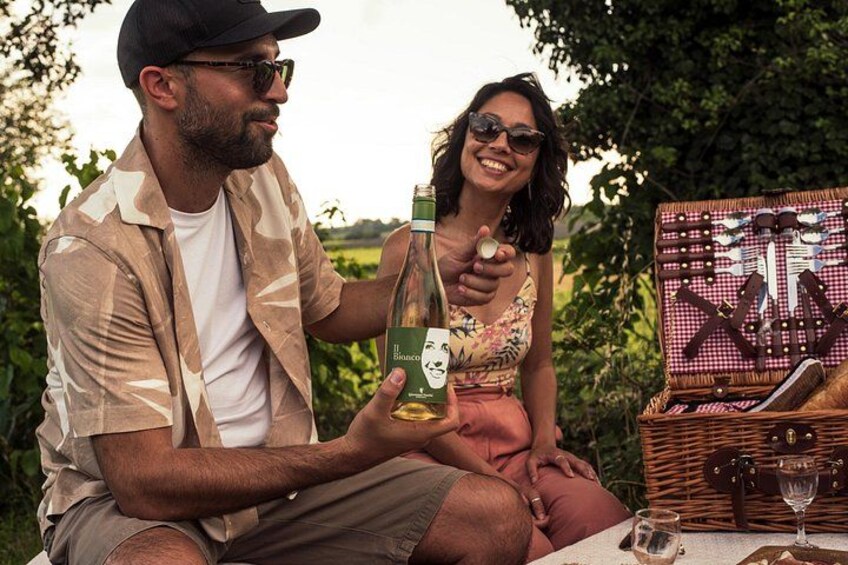 Pic Nic in the Vineyard with wine tasting 5