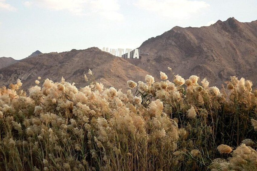Private Hatta Mountain Tour from Dubai with Scenic Stops&Kayaking 4