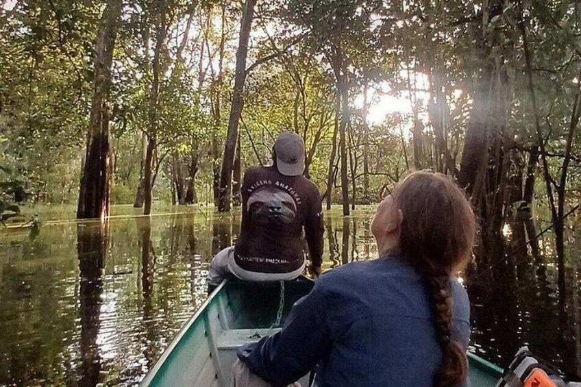 A person in a boat on a river surrounded by trees. 1