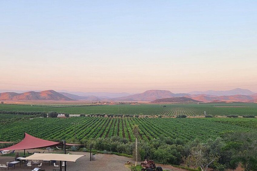 Classic Valle Guadalupe Wine Tour — Tastings Included 1