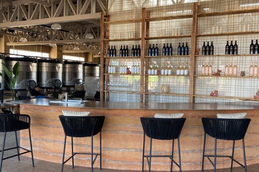 Classic Valle Guadalupe Wine Tour — Tastings Included 4