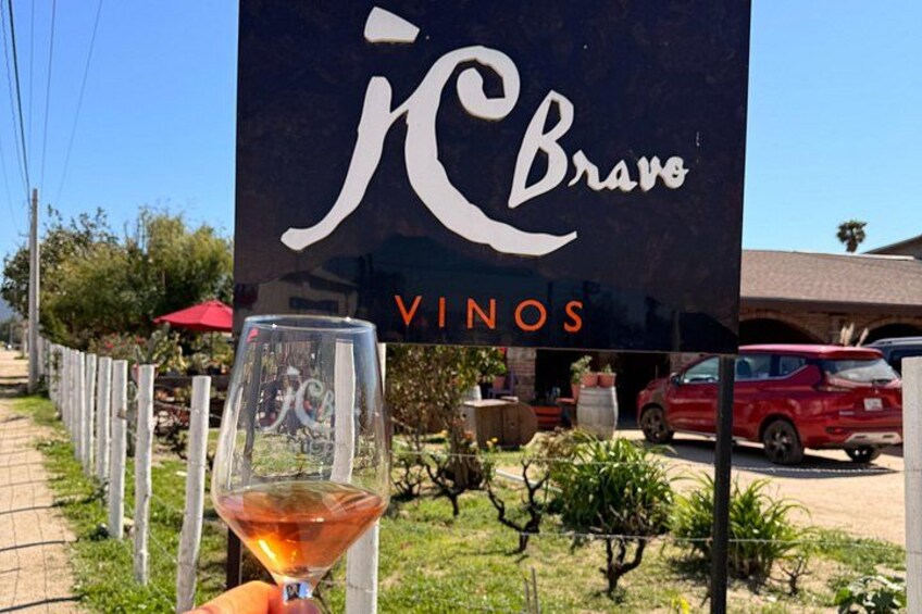 Classic Valle Guadalupe Wine Tour — Tastings Included 2