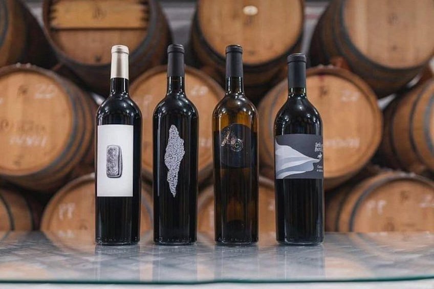 Classic Valle Guadalupe Wine Tour — Tastings Included 2