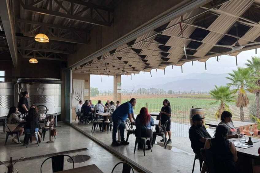 Classic Valle Guadalupe Wine Tour — Tastings Included 3