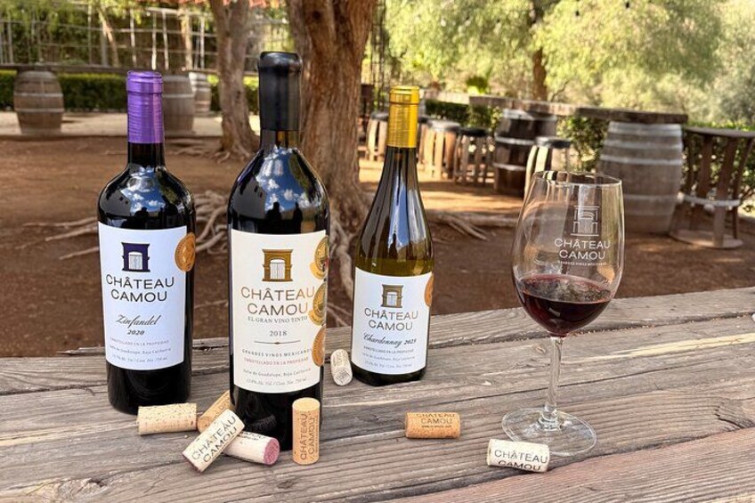 Classic Valle Guadalupe Wine Tour — Tastings Included 2
