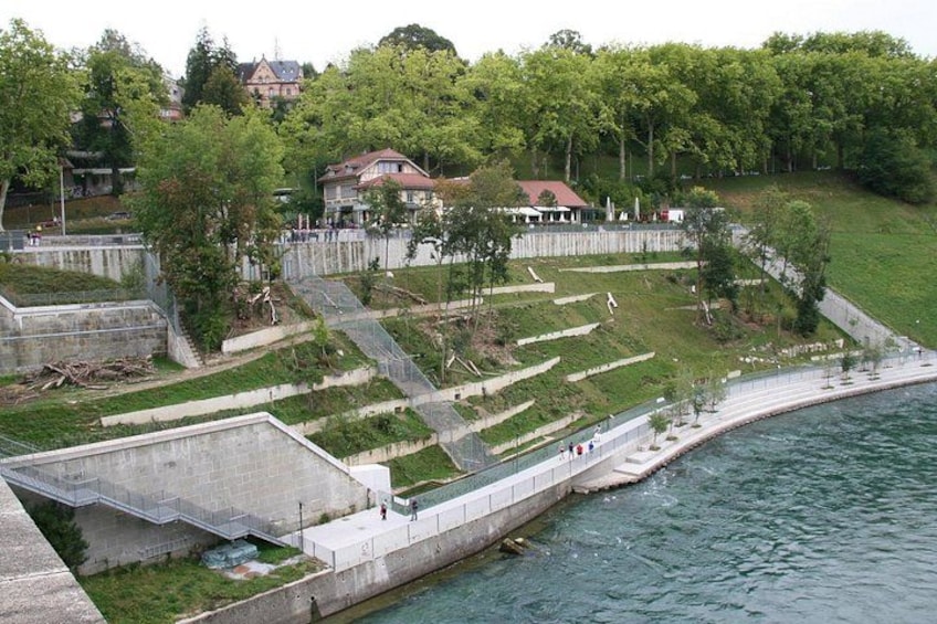 A riverside park with pathways, a concrete wall, and a grassy area with trees. 5