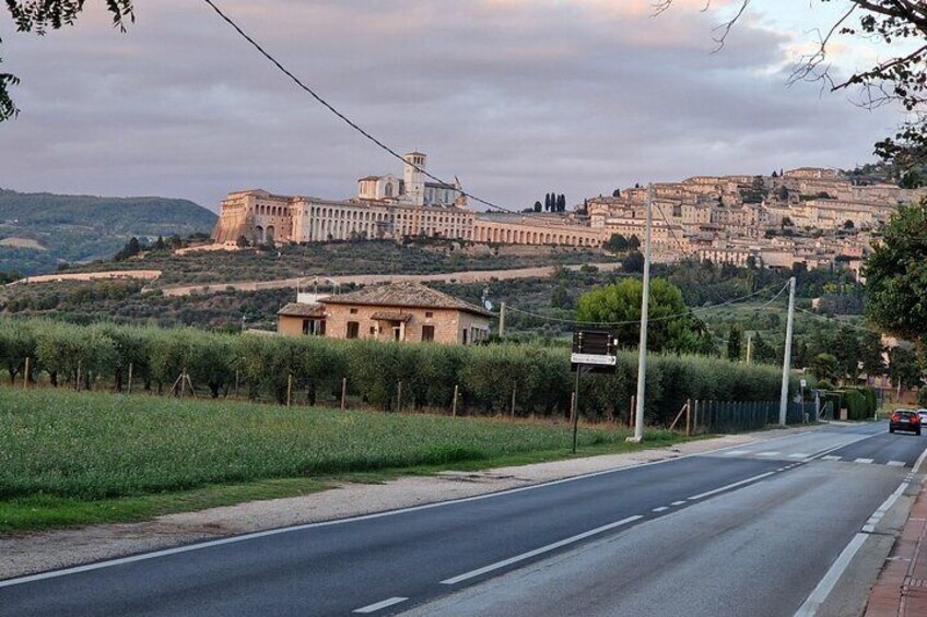 Una carretera que conduce a un conjunto de edificios históricos en una colina, rodeado de viñedos. 1