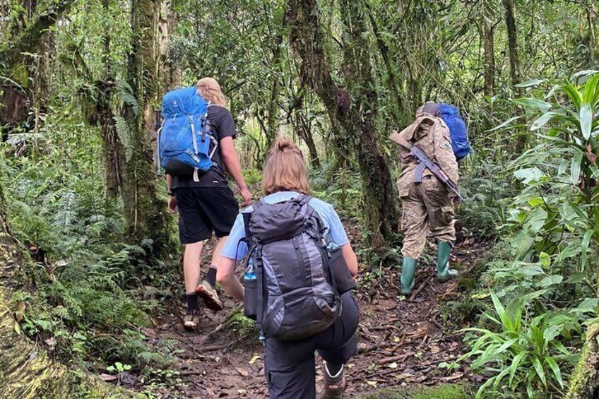 Wanderer durchziehen einen dichten Wald mit Rucksäcken. 5