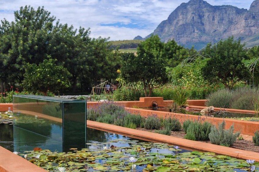 Franschhoek, Stellenbosch and Babylonstoren Wine Tour 4