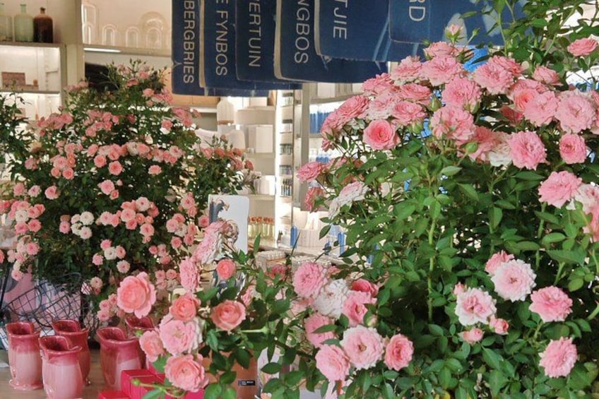 Des plantes en pot, avec des fleurs roses et blanches, sont exposées dans un magasin. On aperçoit des étagères et des banderoles à l’arrière-plan. 3