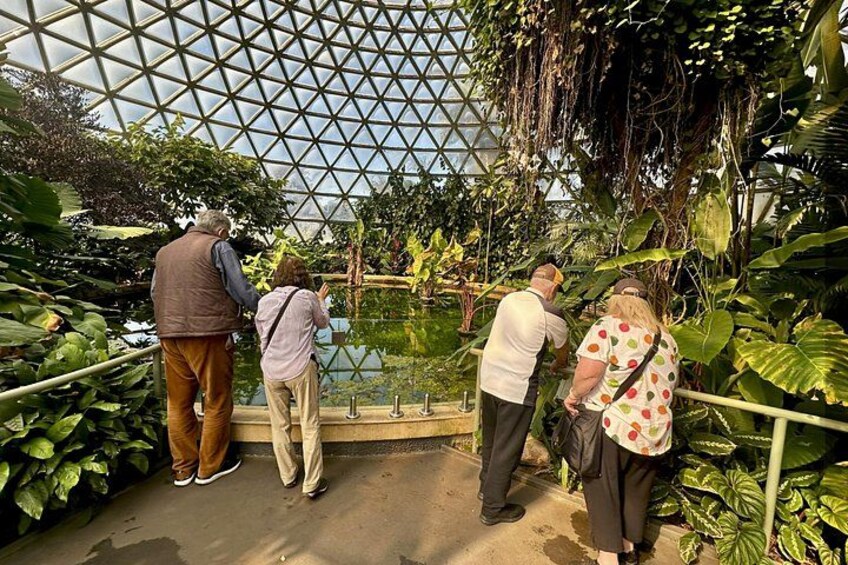 Tropical Dome 5