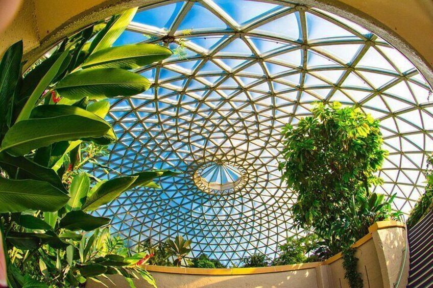 Botanic Gardens Dome 2