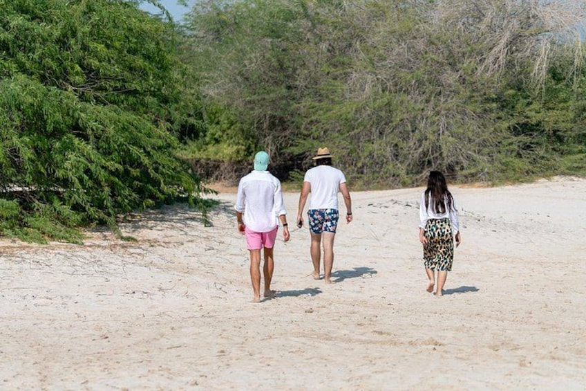 Island Hopping Sharing-4 hours trip 3
