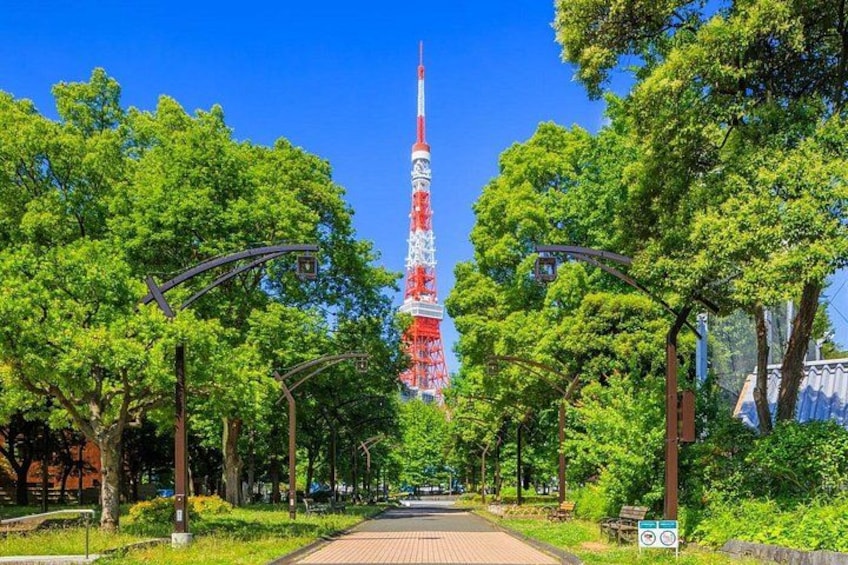 A pathway lined with trees leading to a tall tower with red and white stripes. 1