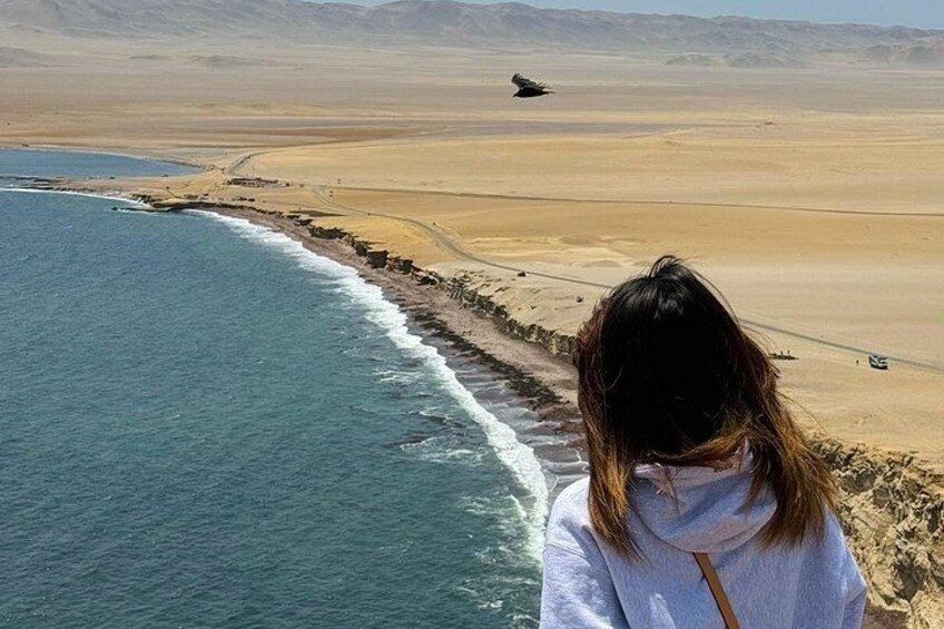 A person overlooking a coastal landscape with a sandy beach and a body of water. 3