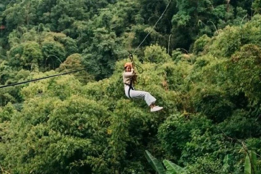 A person zip-lining through a dense forest. 4