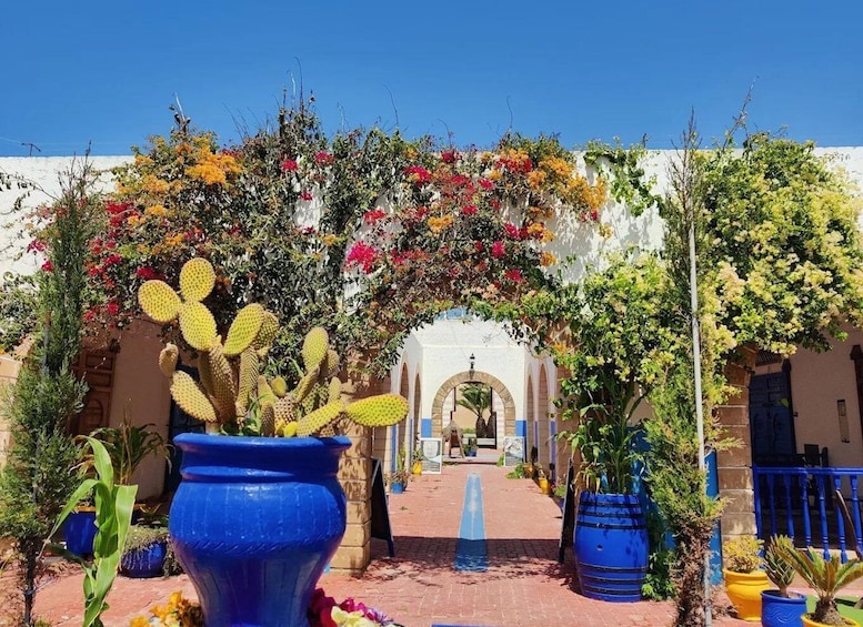 A courtyard with a cactus archway, colorful flowers, and blue planters. 2
