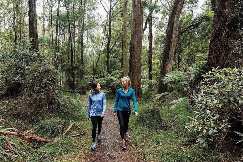Puffing Billy & Rainforest Tour from Melbourne 4