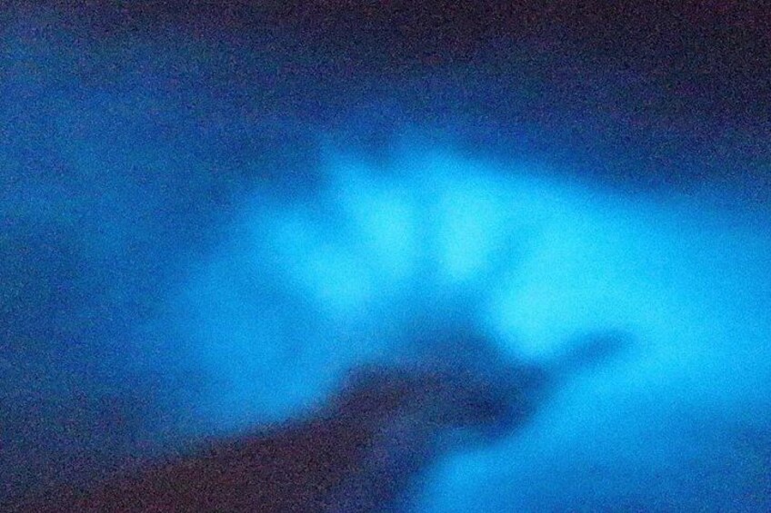 Unforgettable One Day Bioluminescent Kayak Adventure in Vieques 3
