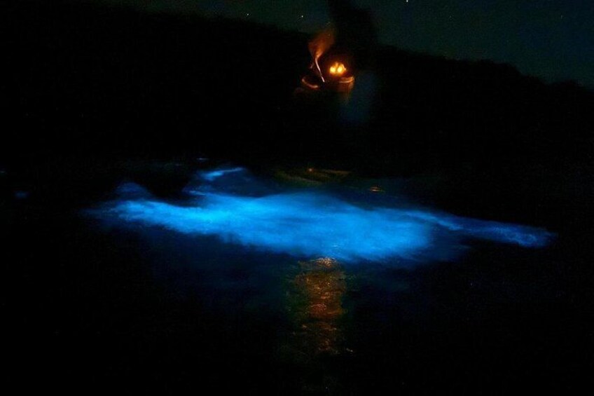 Unforgettable One Day Bioluminescent Kayak Adventure in Vieques 2
