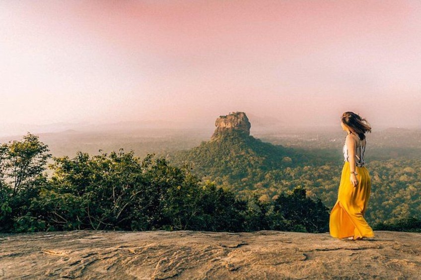 A person in a yellow dress standing on a rock with a view of a forest and a mountain in the distance. 5