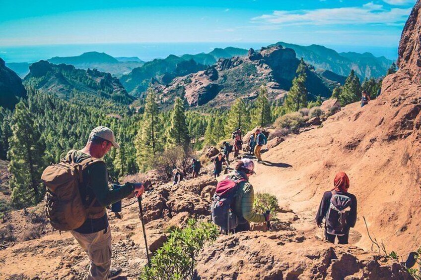 A group of hikers on a mountain trail with rocky terrain and pine trees. 3