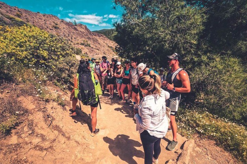 A group of hikers on a dirt trail surrounded by greenery and hills. 5