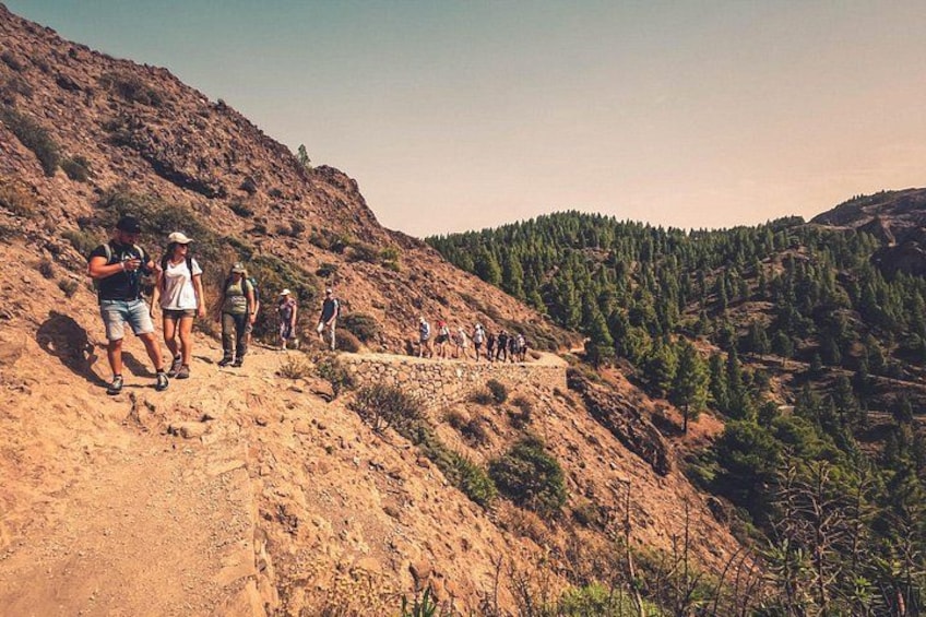 The Volcano Heart Tour: Hiking, Tasting and Sunset Experience 3
