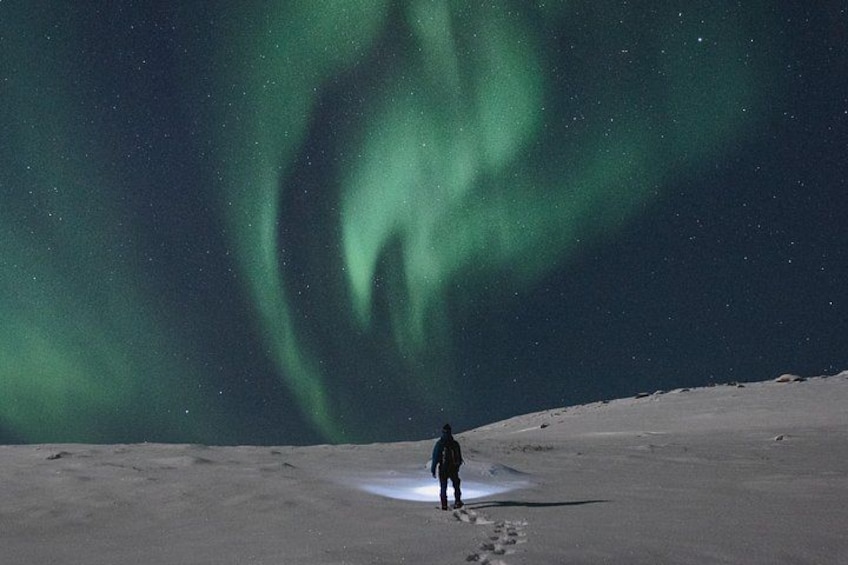A person standing on snow with the aurora borealis in the background. 4