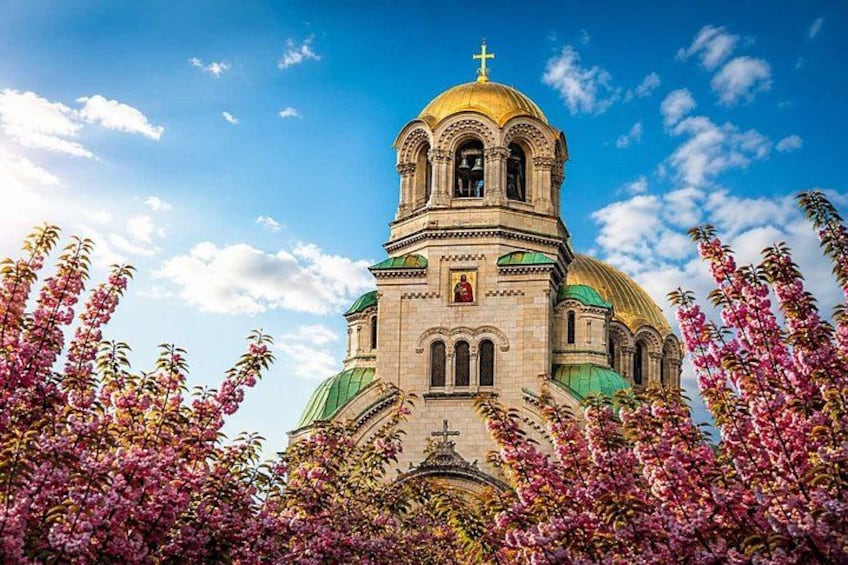 A church with a golden dome, green roof, and pink flowering trees in the foreground. 2