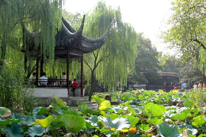 Suzhou Private Day Trip from Shanghai with Bullet Train Option 1