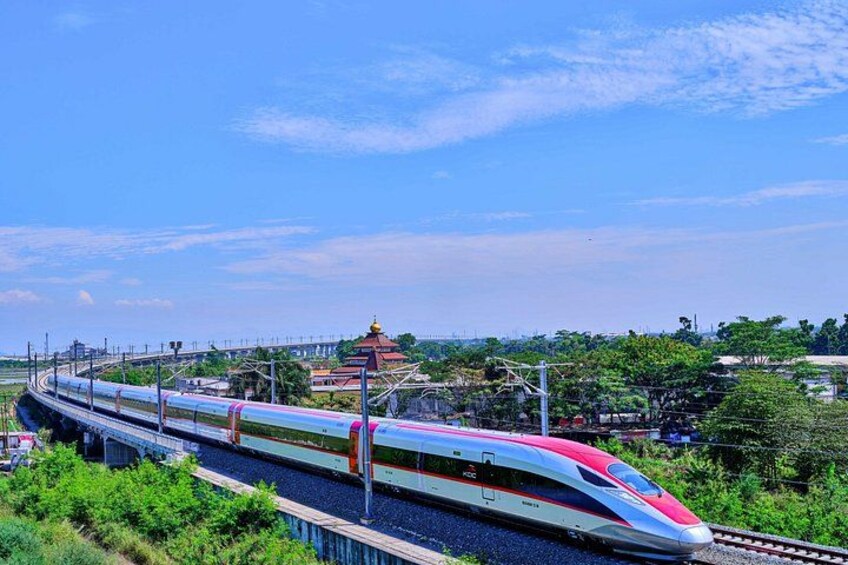 Suzhou Private Day Trip from Shanghai with Bullet Train Option 2