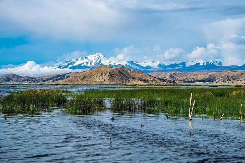 2 Day Shared Tour in Lake Titicaca and Isla Del Sol 3