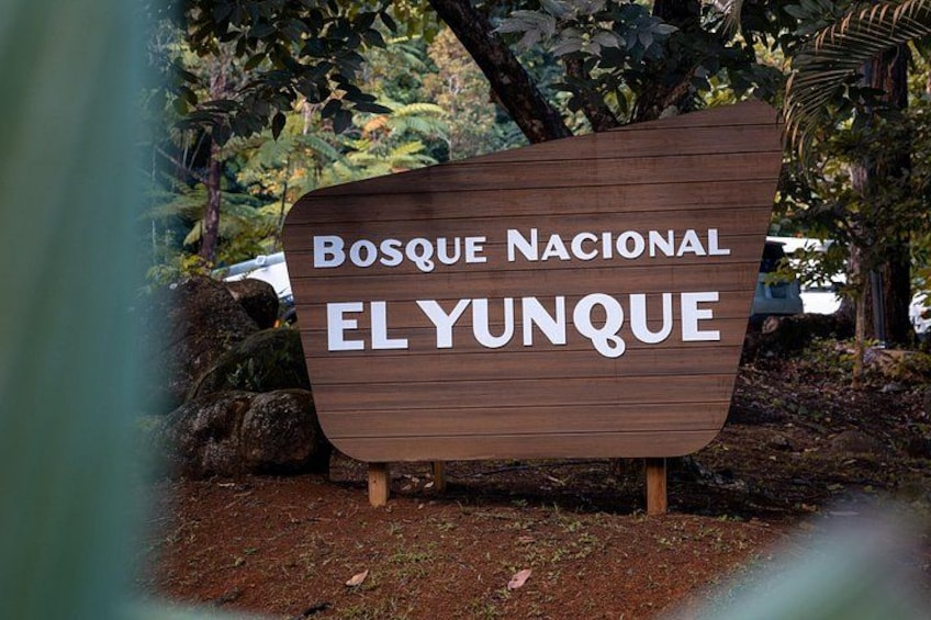 El Yunque Rainforest EZ-going Bus Tour (wheelchair accessible) 1
