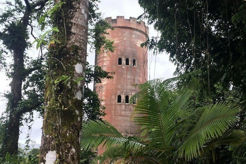 Visit the Yokahú Observation Tower 5